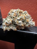 IMG_3726.jpeg