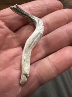 IMG_3739.jpeg