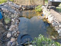 clear pond.jpg