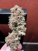 IMG_3811.jpeg