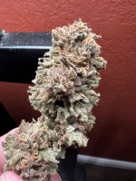 IMG_3829.jpeg