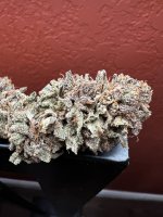 IMG_3835.jpeg