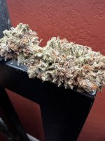 IMG_3821.jpeg