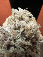 IMG_3903.jpeg