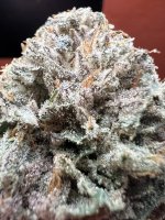 IMG_3887.jpeg