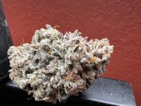 IMG_3879.jpeg