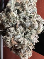 IMG_3891.jpeg