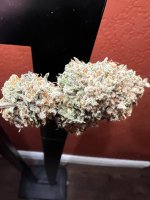 IMG_3949.jpeg