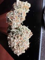 IMG_3952.jpeg