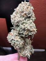 IMG_3914.jpeg
