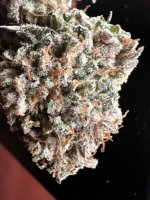IMG_3953.jpeg
