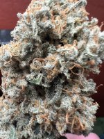 IMG_3980.jpeg