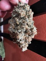 IMG_3976.jpeg