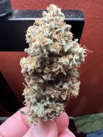 IMG_3968.jpeg