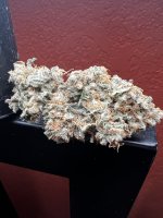 IMG_3965.jpeg