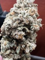IMG_4096.jpeg
