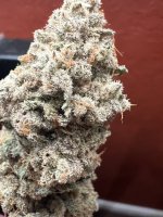 IMG_4094.jpeg