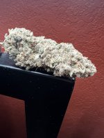 IMG_4090.jpeg