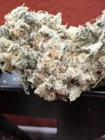 IMG_4065.jpeg