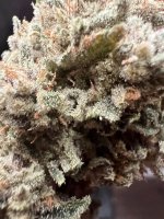 IMG_4107.jpeg