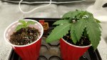 20200716_165309.jpg