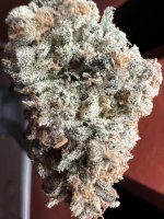 IMG_4323.jpeg