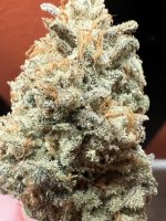 IMG_4318.jpeg