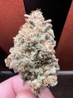 IMG_4315.jpeg