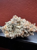 IMG_4312.jpeg