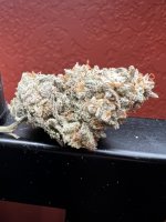 IMG_4293.jpeg