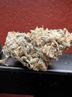 IMG_4282.jpeg