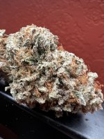 IMG_4339.jpeg