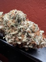 IMG_4340.jpeg