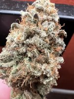 IMG_4334.jpeg