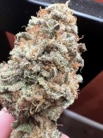 IMG_4356.jpeg