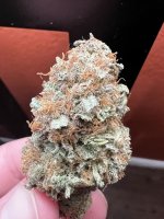IMG_4349.jpeg