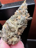 IMG_4416.jpeg