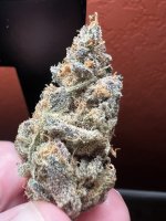 IMG_4412.jpeg