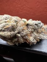 IMG_4409.jpeg
