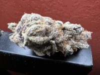 IMG_4401.jpeg