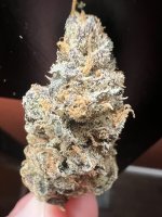 IMG_4383.jpeg