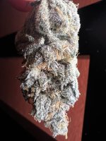 IMG_4390.jpeg