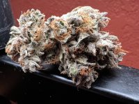 IMG_4453.jpeg
