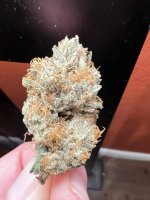 IMG_4433.jpeg
