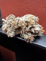 IMG_4449.jpeg