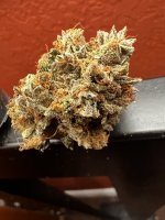 IMG_4430.jpeg