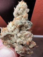 IMG_4479.jpeg
