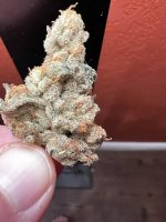 IMG_4478.jpeg