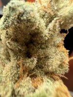 IMG_4468.jpeg