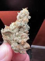 IMG_4470.jpeg
